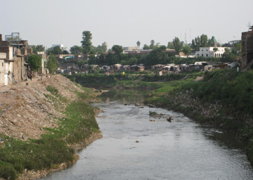 Luxuriance of water-weed